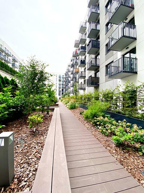 Mieszkanie Szczecin Centrum, Langiewicza