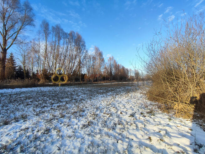 Działka rekreacyjna Jeleńczewo gm. Śrem,