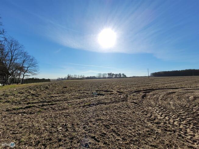 Dom Nagłowice Trzciniec