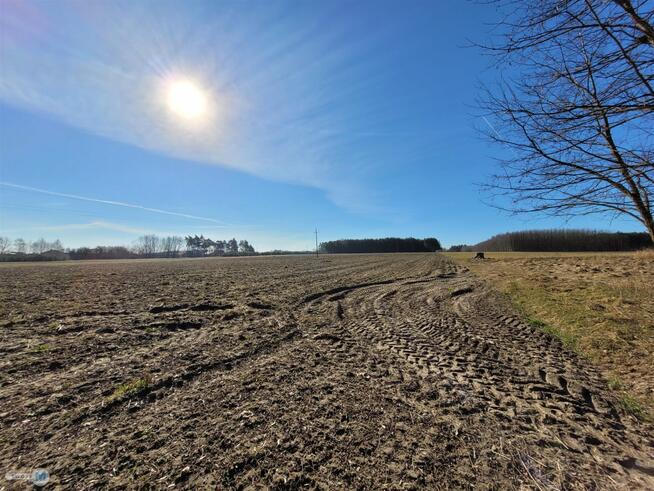 Dom Nagłowice Trzciniec