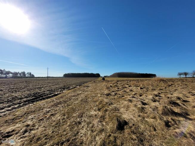 Dom Nagłowice Trzciniec