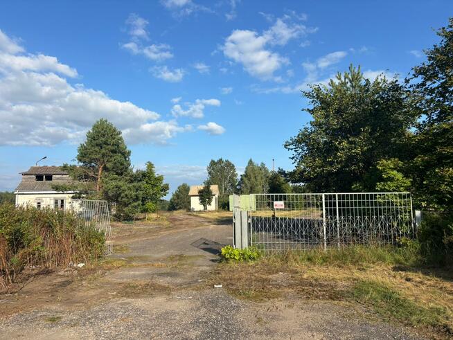 Lokal użytkowy Przytuły, Przytuły Las