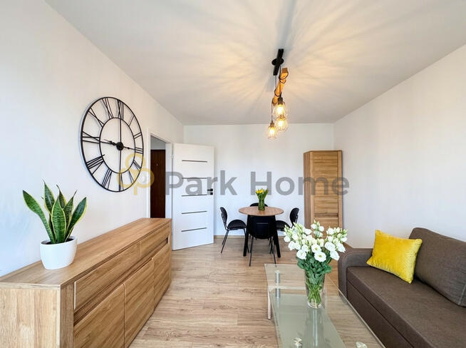 Mieszkanie Poznań gm. Poznań-Grunwald Grunwald, Izaaka Newtona