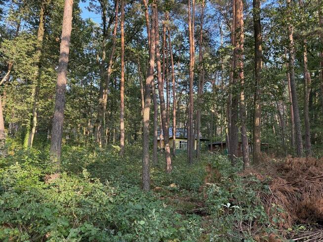 Sokolniki Las-cisza,zieleń,gotowa działka pod dom.