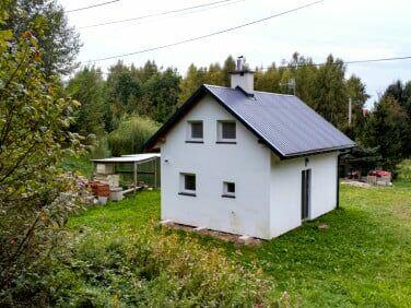 Remonty Domków Działkowych Od A Do Z