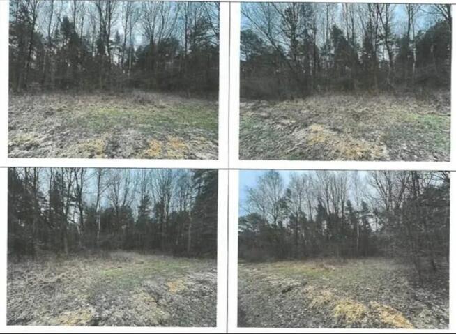 Nieruchomość - Srocko