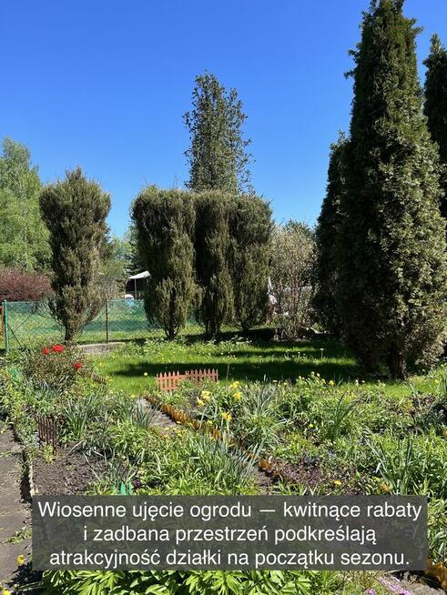 Działka rekreacyjna z domkiem w ROD Kaczeniec koło Warszawy