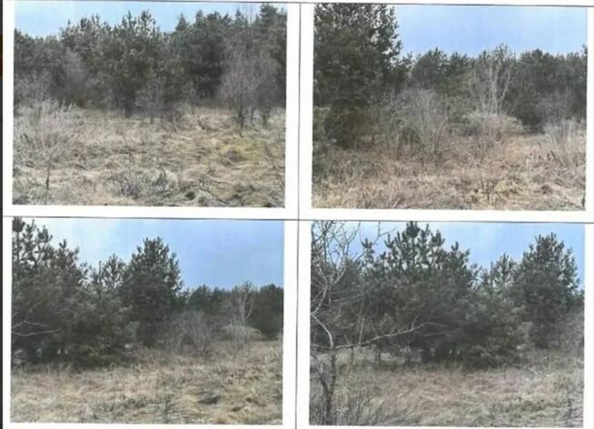 Nieruchomość - Srocko