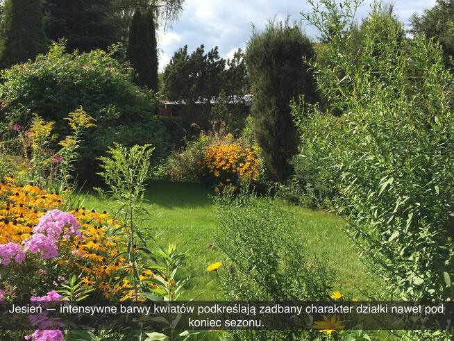 Działka rekreacyjna z domkiem w ROD Kaczeniec koło Warszawy