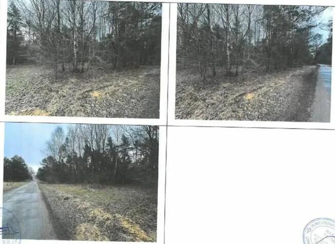 Nieruchomość - Srocko