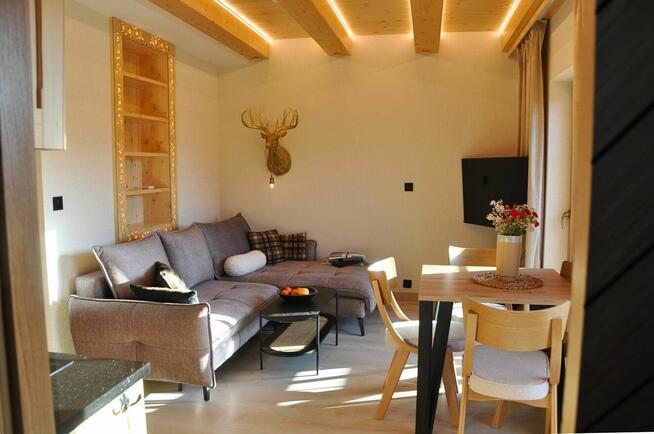 Apartament w górach Wisła Wiślańska Osada