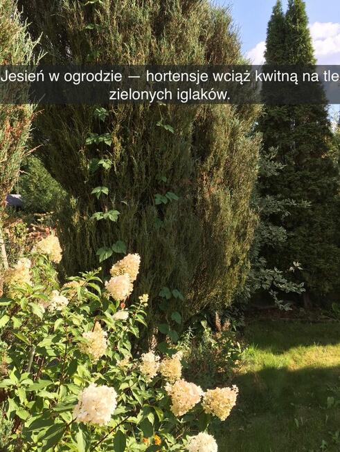 Działka rekreacyjna z domkiem w ROD Kaczeniec koło Warszawy