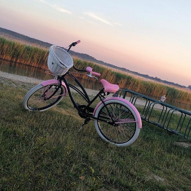 Rower miejski Plumbike