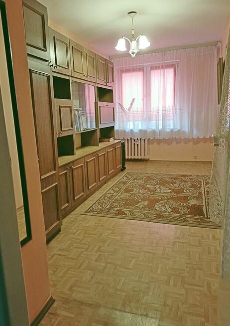 2-pokojowe mieszkanie, 46,2 m2, na Plantach do remontu