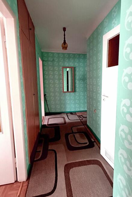 2-pokojowe mieszkanie, 46,2 m2, na Plantach do remontu