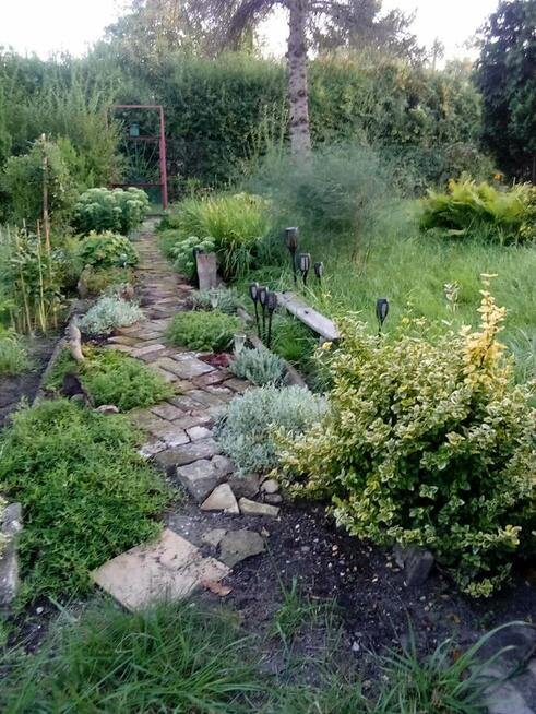 Sprzedam ogródek działkowy w Bytomiu