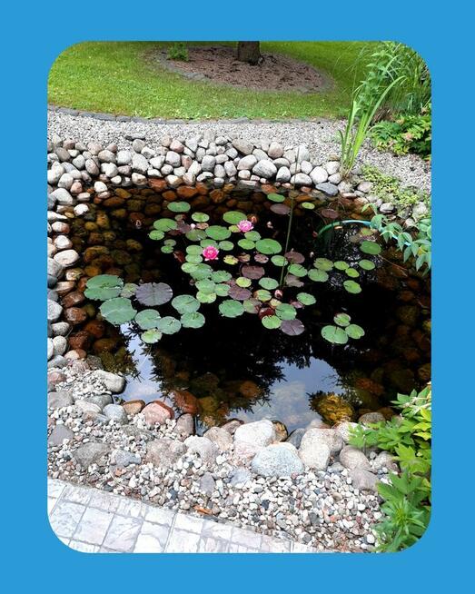 Zadbam o Twój ogród