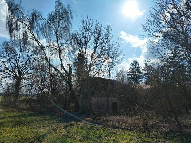 Stare urokliwe siedlisko ( dom , działka )