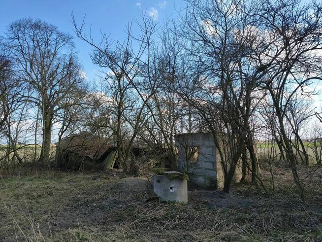 Stare urokliwe siedlisko ( dom , działka )