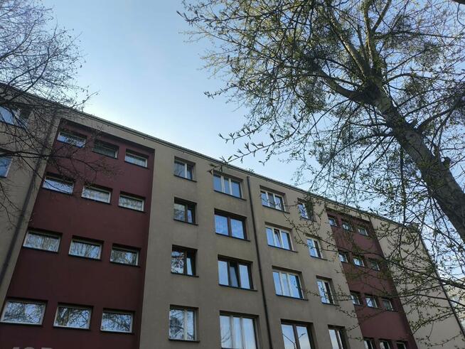 Mieszkanie z 2 dużymi pokojami/garderoba/CO/1 piętro