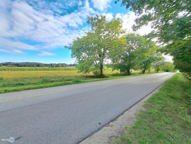 Działka Pierzchnica Drugnia