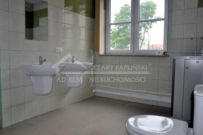 Lokal użytkowy Biała Podlaska, Narutowicza