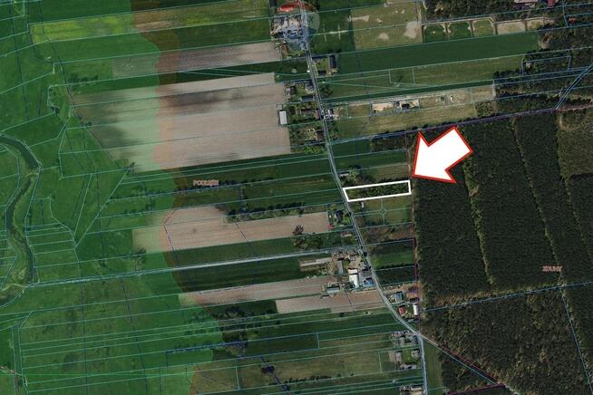 Duża działka 3116 m² z WZ w spokojnej okolicy