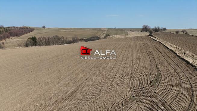 Działka budowlana Modliszów gm. Świdnica, Modliszów