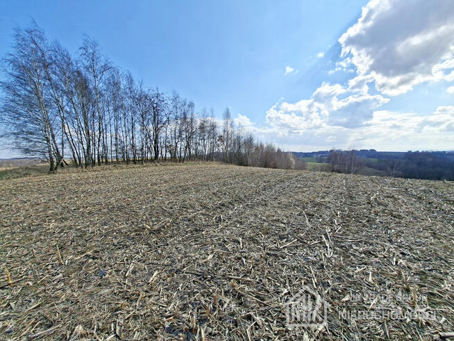 Bodzanów ok. Wieliczki działka bud. 25a MN +56a R