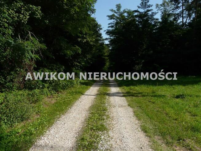 Działka siedliskowa Olszanka gm. Puszcza Mariańska