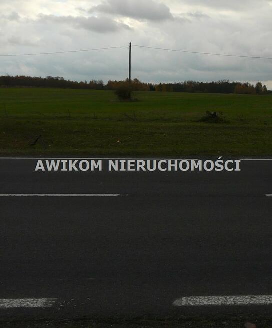 Działka siedliskowa Puszcza Mariańska Stary Łajszczew