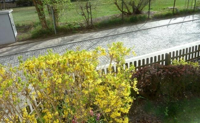 2-pokojowe mieszkanie na Żoliborzu