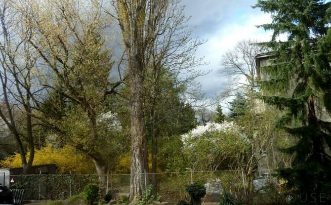 2-pokojowe mieszkanie na Żoliborzu