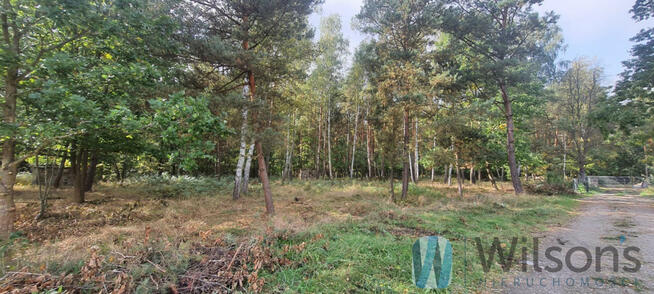 Działka budowlana Żabia Wola,