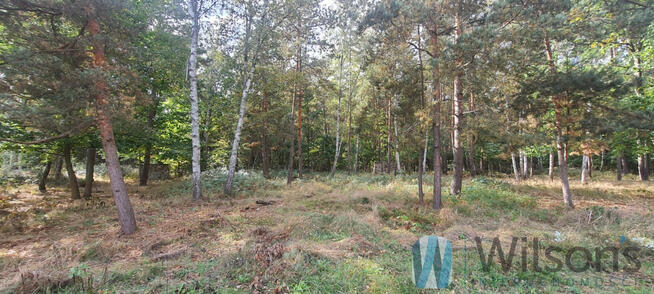 Działka budowlana Żabia Wola,