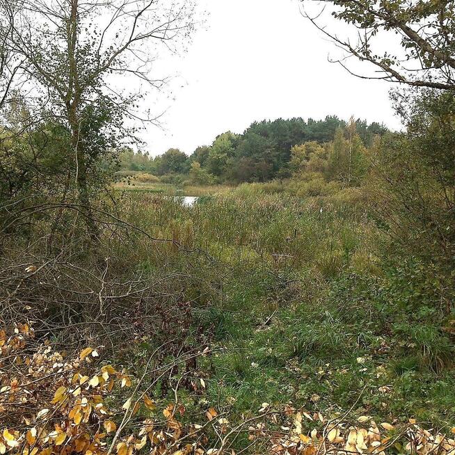 Działka rolna Dygowo, Lipowa