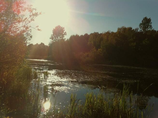Działka rolna Dygowo, Lipowa