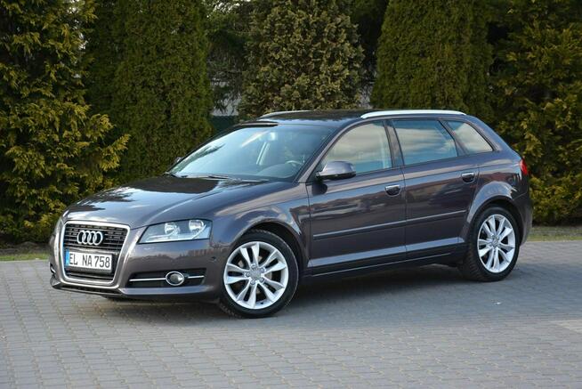 Audi A3 Lift Klimatronic 2xParktronic Park Assist Relingi Oryginał z Niemiec