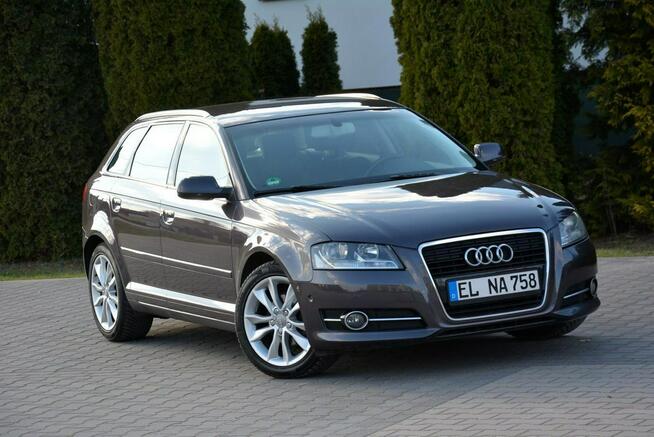 Audi A3 Lift Klimatronic 2xParktronic Park Assist Relingi Oryginał z Niemiec