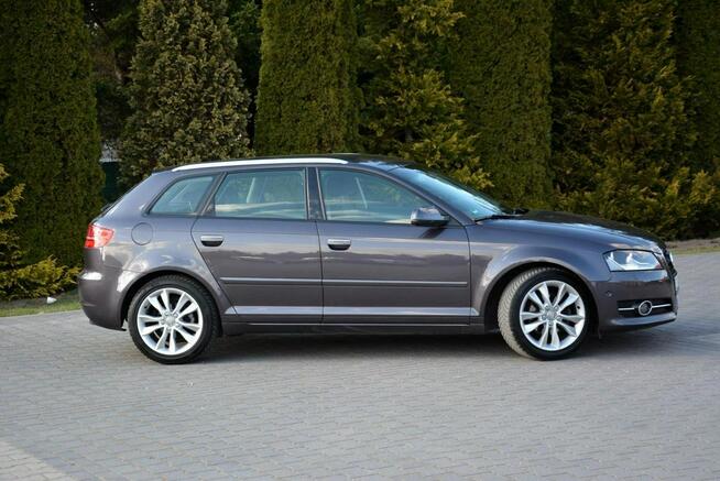 Audi A3 Lift Klimatronic 2xParktronic Park Assist Relingi Oryginał z Niemiec