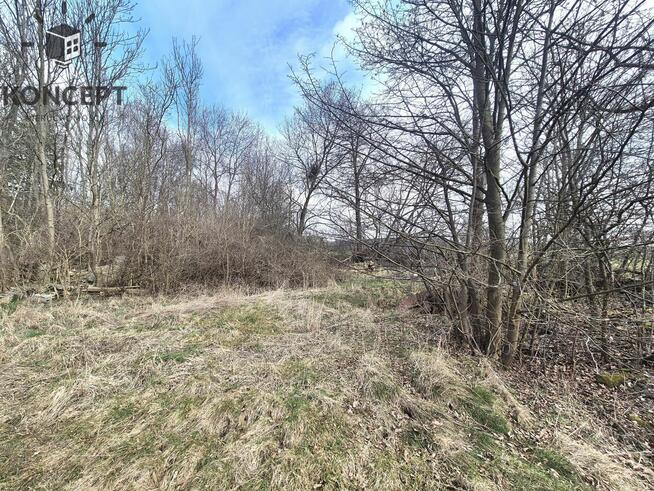 Radostów Dolny, działka na sprzedaż.