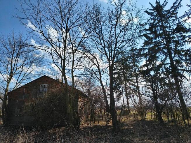 Stare urokliwe siedlisko ( dom , działka )