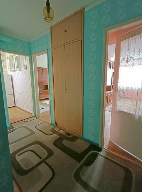 2-pokojowe mieszkanie, 46,2 m2, na Plantach do remontu