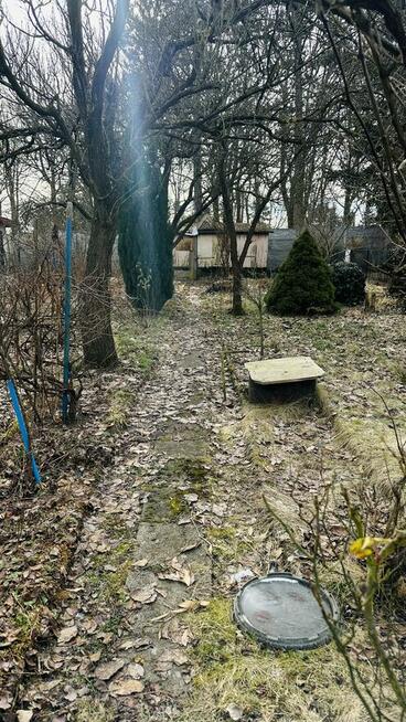 Działka ROD 308 m2 z potencjałem – Poznań, ul. Wspólna
