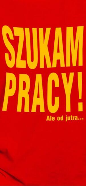 Szukam stałej pracy
