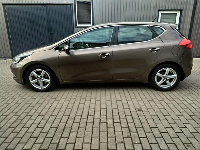 Kia Cee'd 1.6 Gdi Czujniki Cofania Grzane Fotele i Kierownica Zarejestrowany