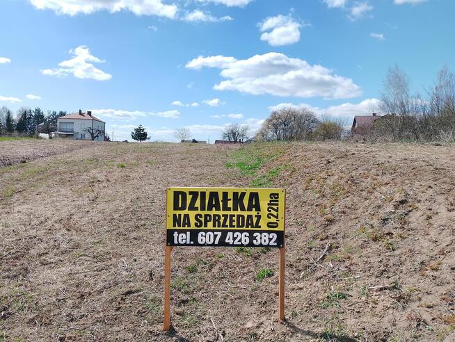 Działka w Drohiczynie, wysoki% powierzchni pod zabudowę