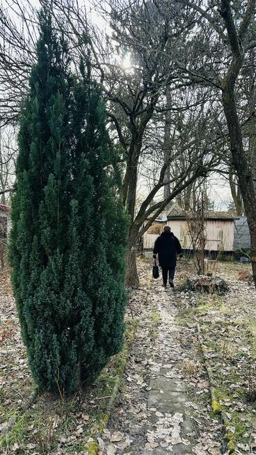Działka ROD 308 m2 z potencjałem – Poznań, ul. Wspólna
