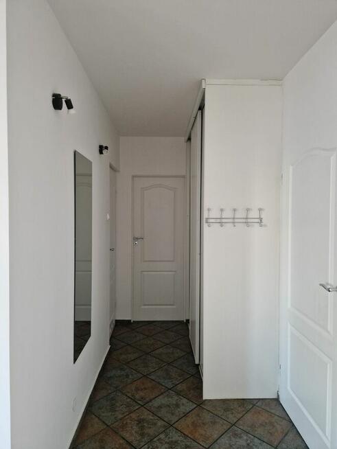 2 pokoje, 45m2 - Piątkowo, os. Zygmunta Starego