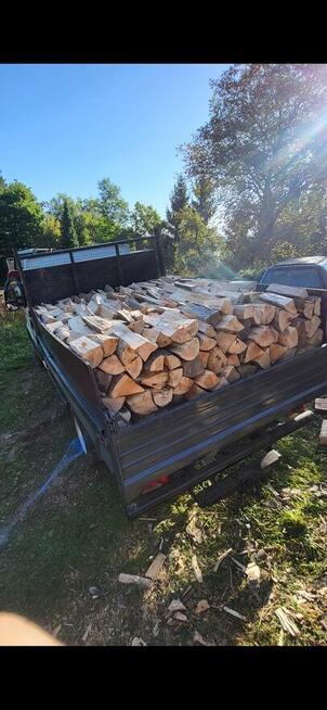 DRZEWO BUKOWE KOMINKOWE